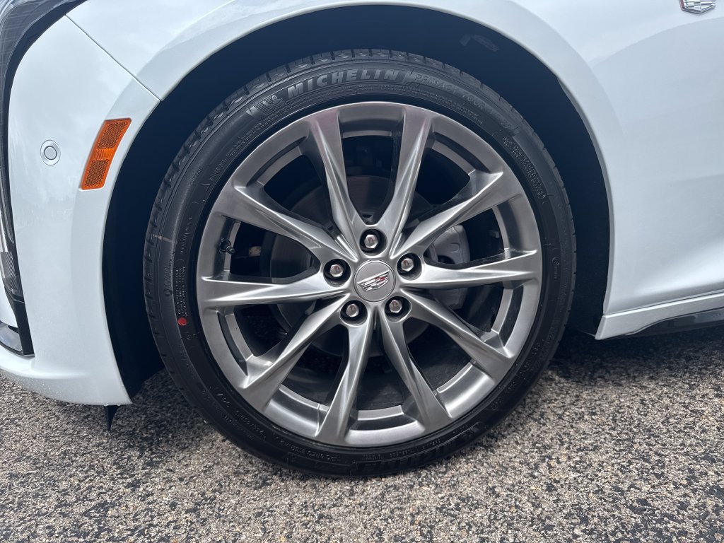 New 2026 Vibrant White Tricoat Cadillac Sport image 11