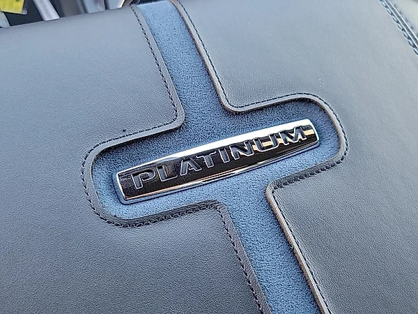 New 2027 STAR WHITE Ford Platinum image 20