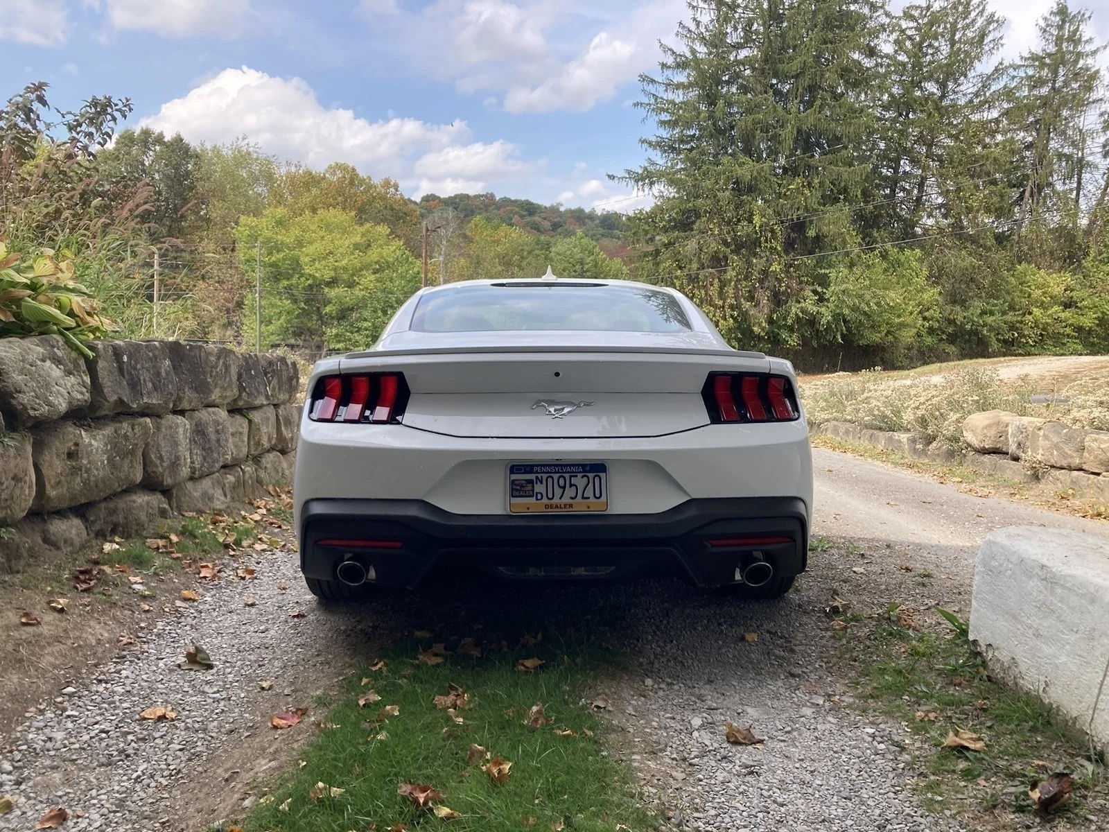 2025 Ford Mustang EcoBoost Premium Fastback - Photo 25