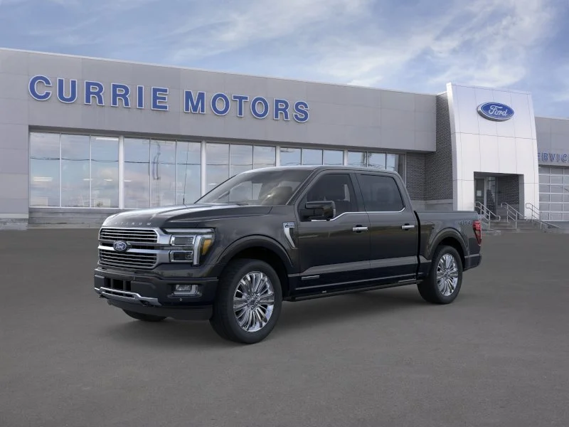 New 2026 Agate Black Metallic Ford Platinum image 1