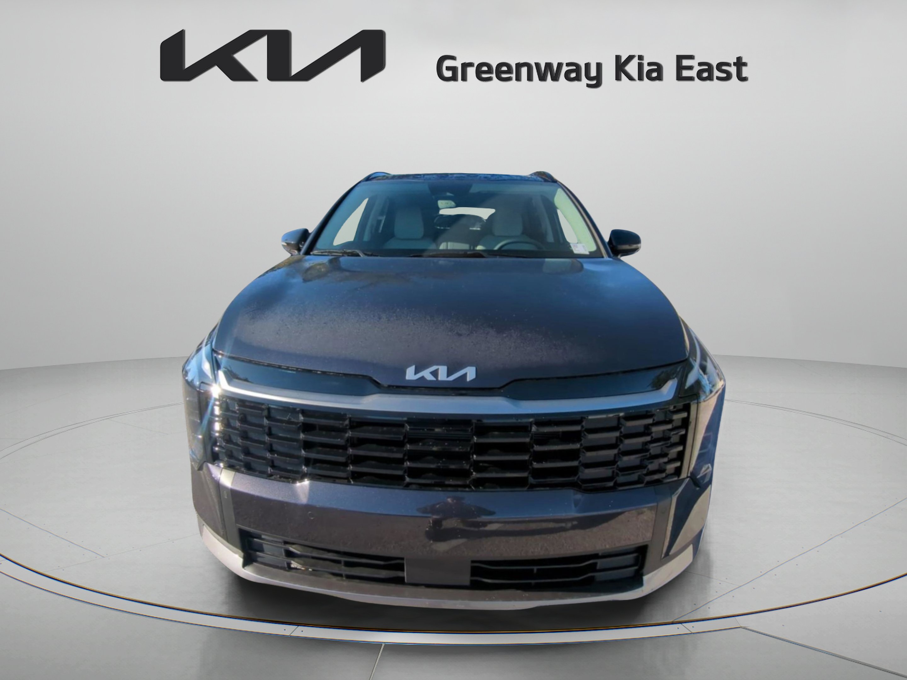 New 2026 Panthera Metal Gray Kia EX image 19