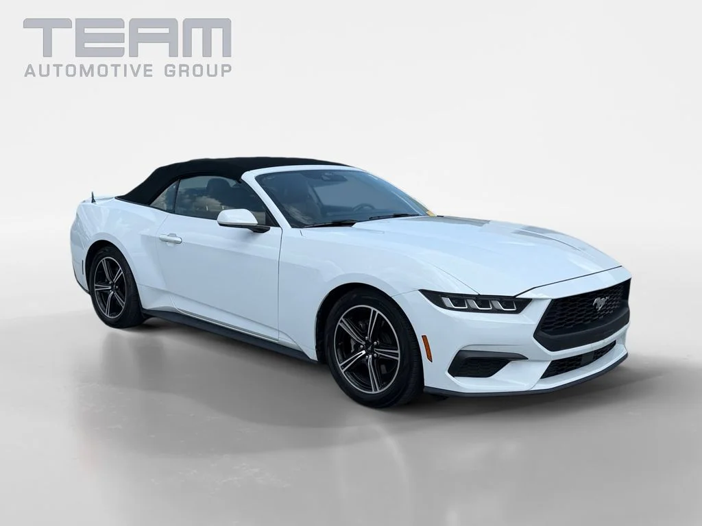 Used 2024 White Ford EcoBoost Premium image 1