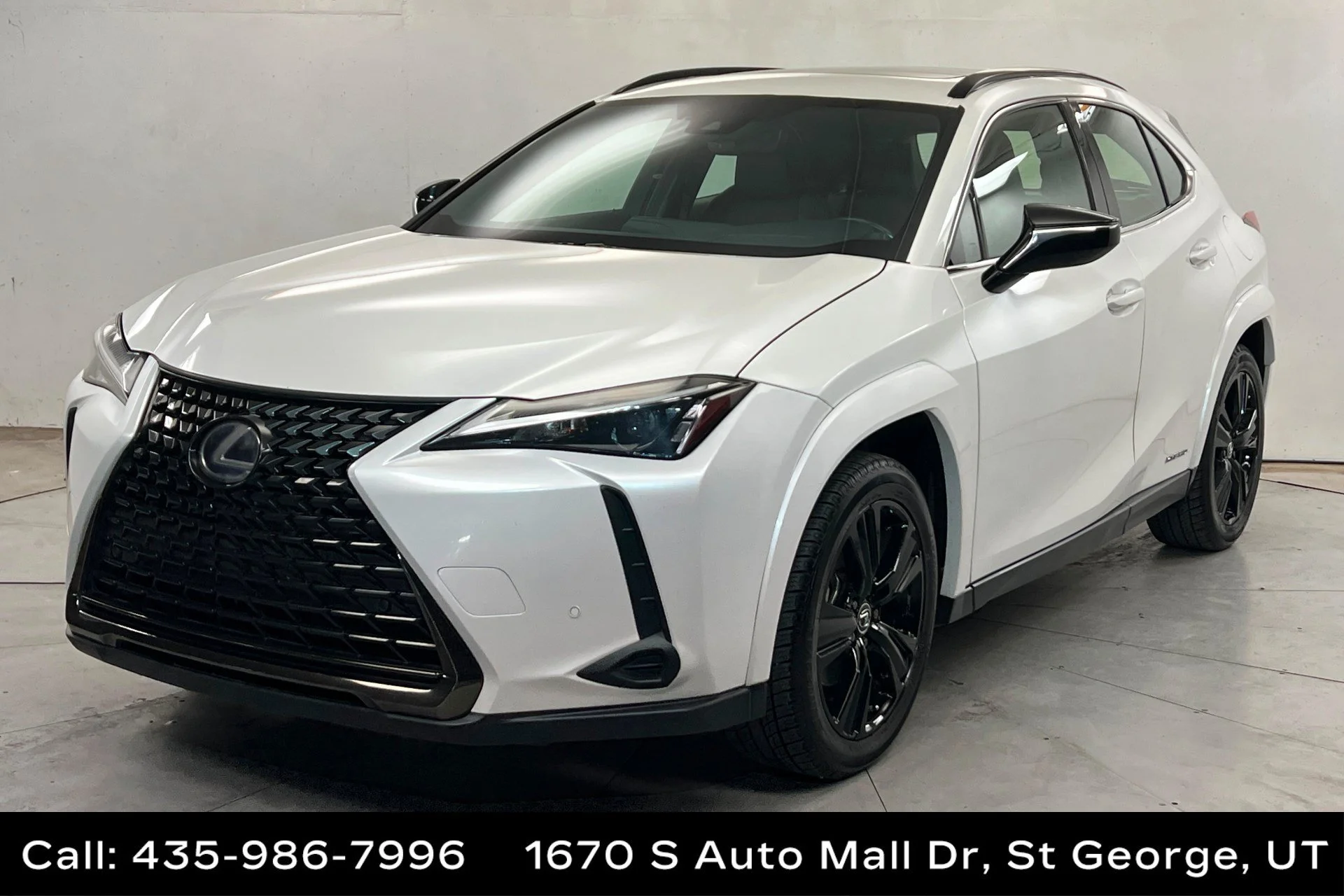 2021 Lexus UX Hybrid