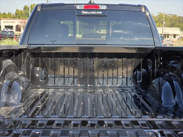 New 2026 Diamond Black Crystal Pearl-Coat Exterior Paint RAM Express image 6
