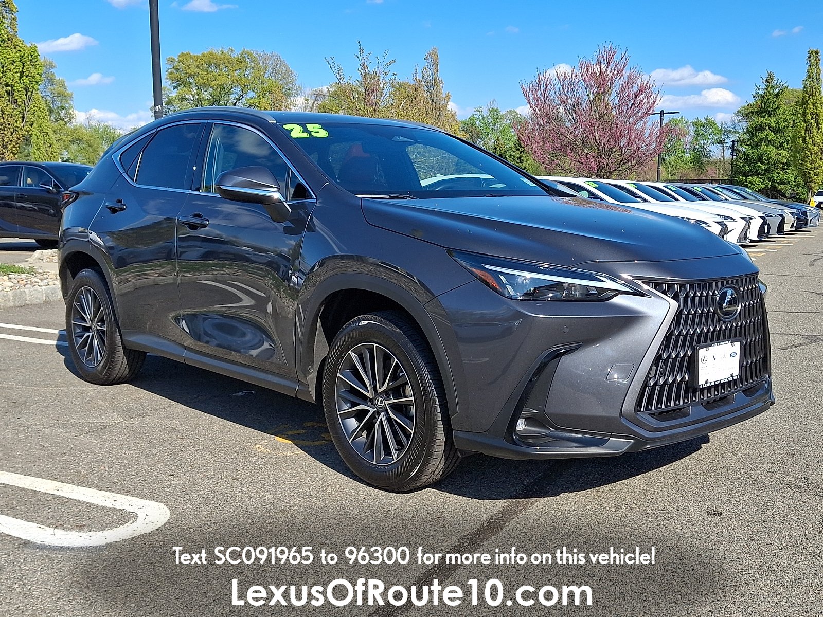 2025 Lexus NX 350 350 Premium AWD's photo