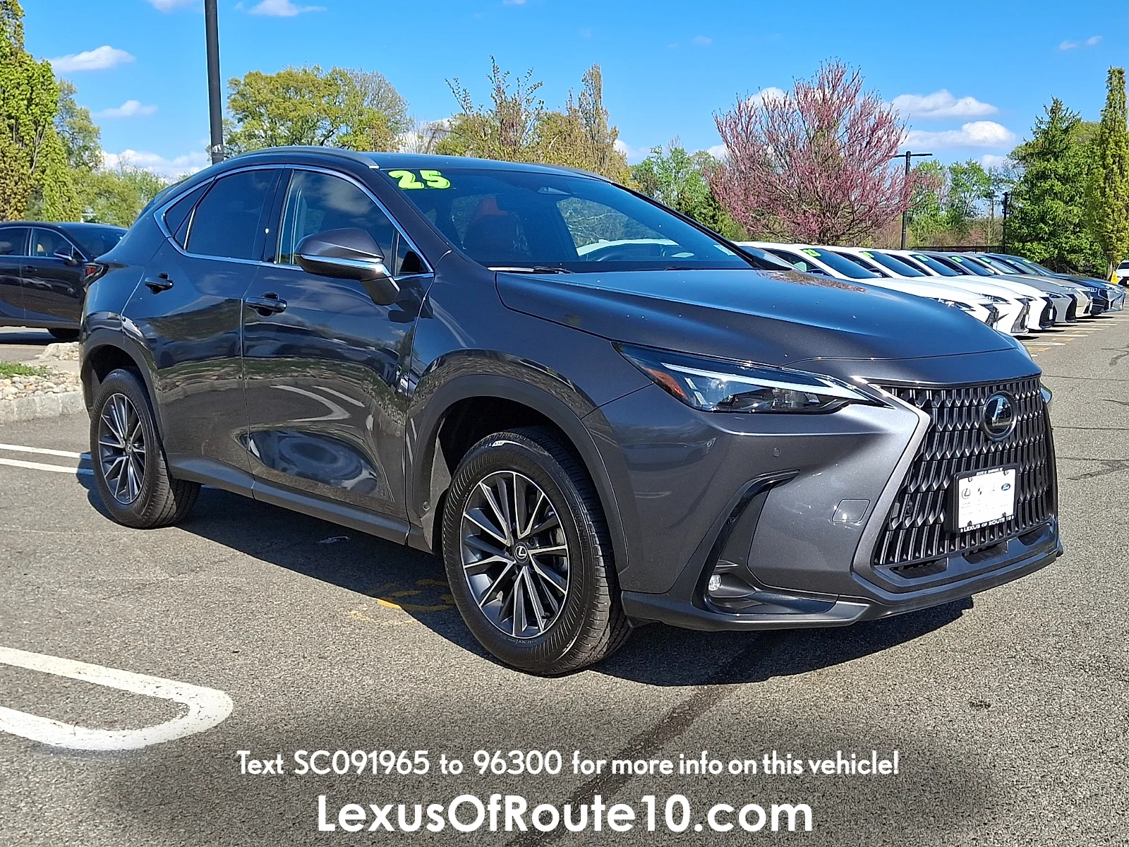 2025 Lexus NX