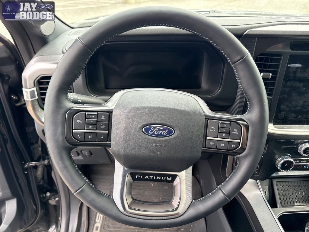 Used 2025 Black Ford Platinum image 18