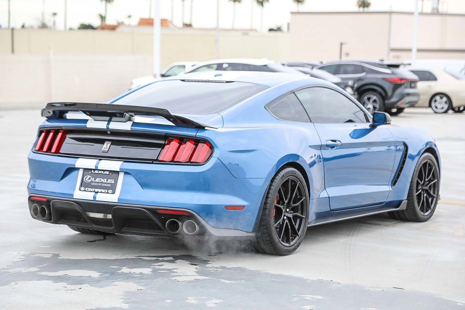 2020 Ford Mustang Shelby GT350 - Photo 6