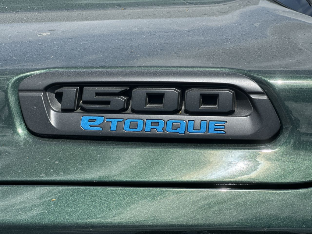New 2026 Serrano-Green Metallic Exterior Paint RAM Express image 46