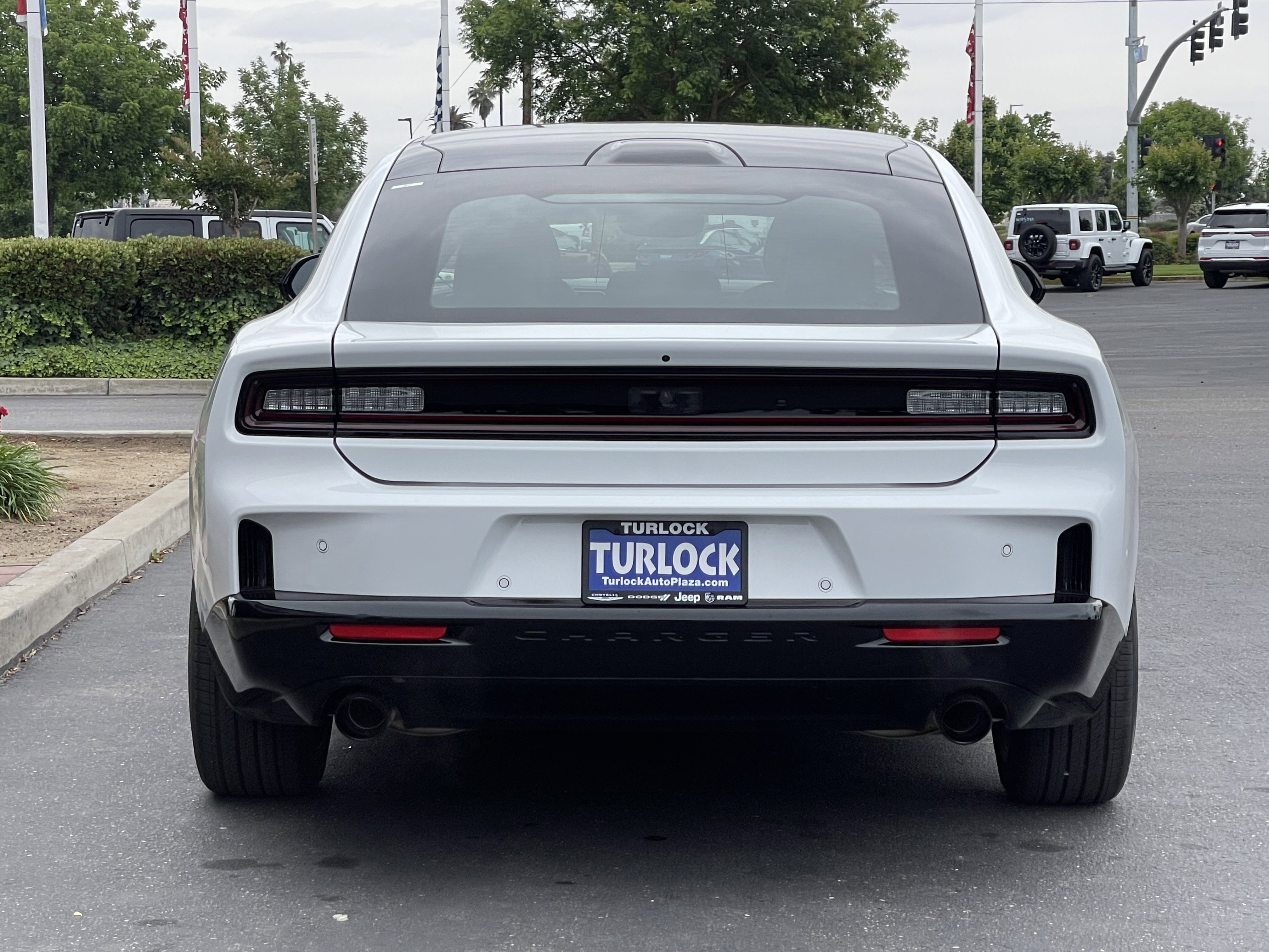 New 2026 White Knuckle Exterior Paint Dodge R/T image 8