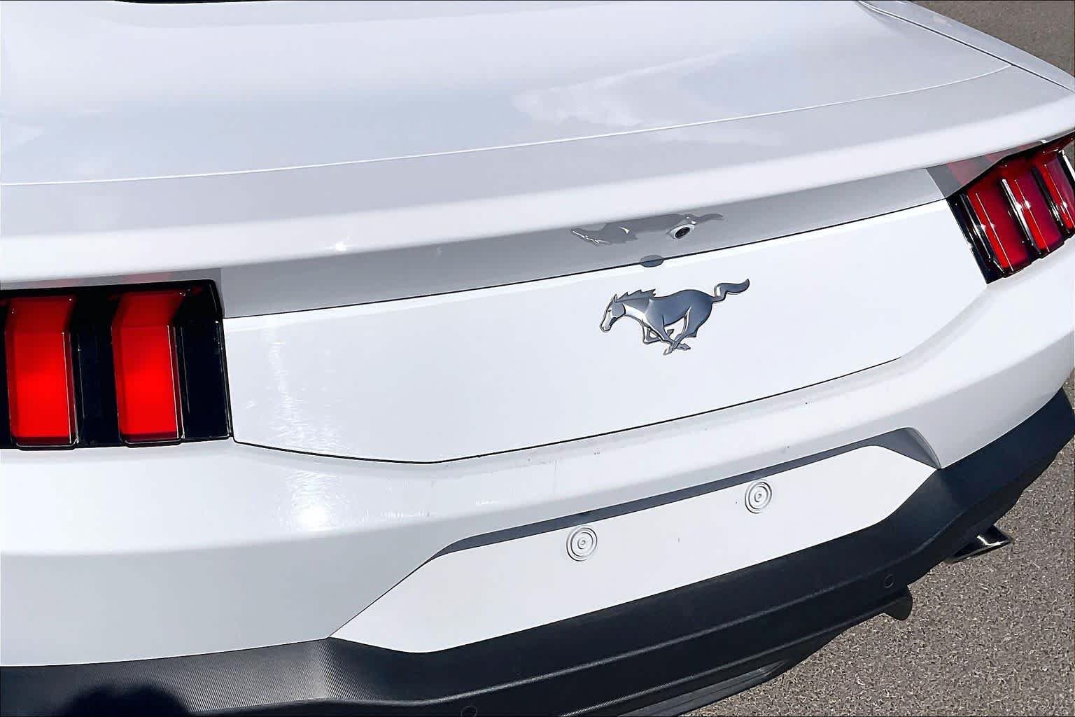 Used 2024 Oxford White Ford EcoBoost image 28
