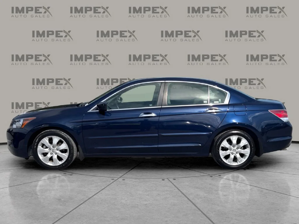 Used 2008 Blue Honda EX-L image 2