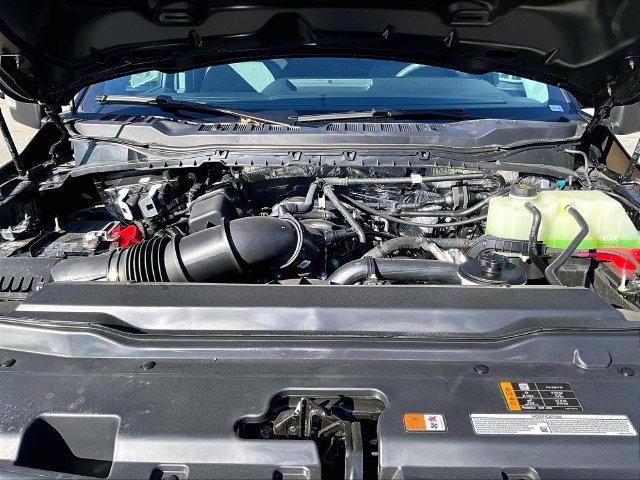 New 2026 Black Ford XL image 12