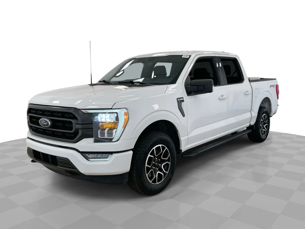 Used 2023 WHITE Ford XLT image 1