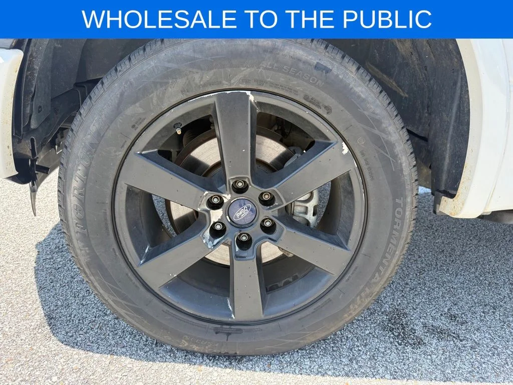 Used 2016 White Ford Platinum image 22