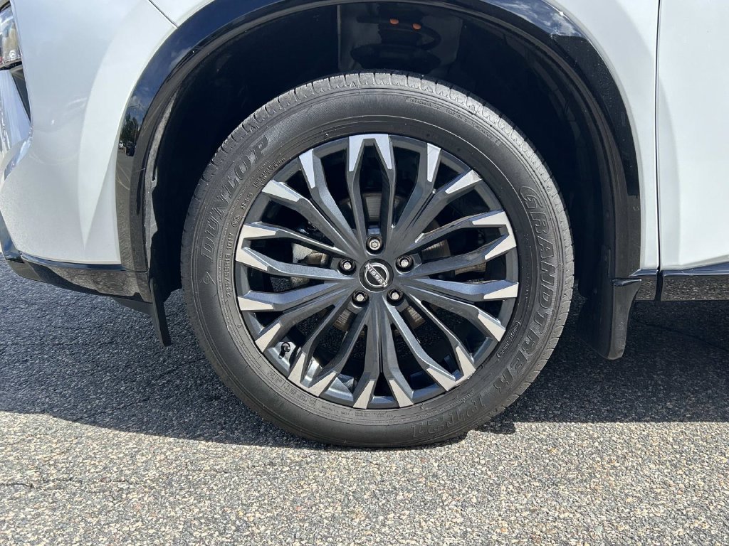 Used 2025 White Nissan Platinum image 9