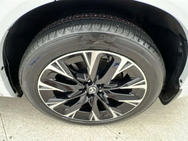 Photo 43