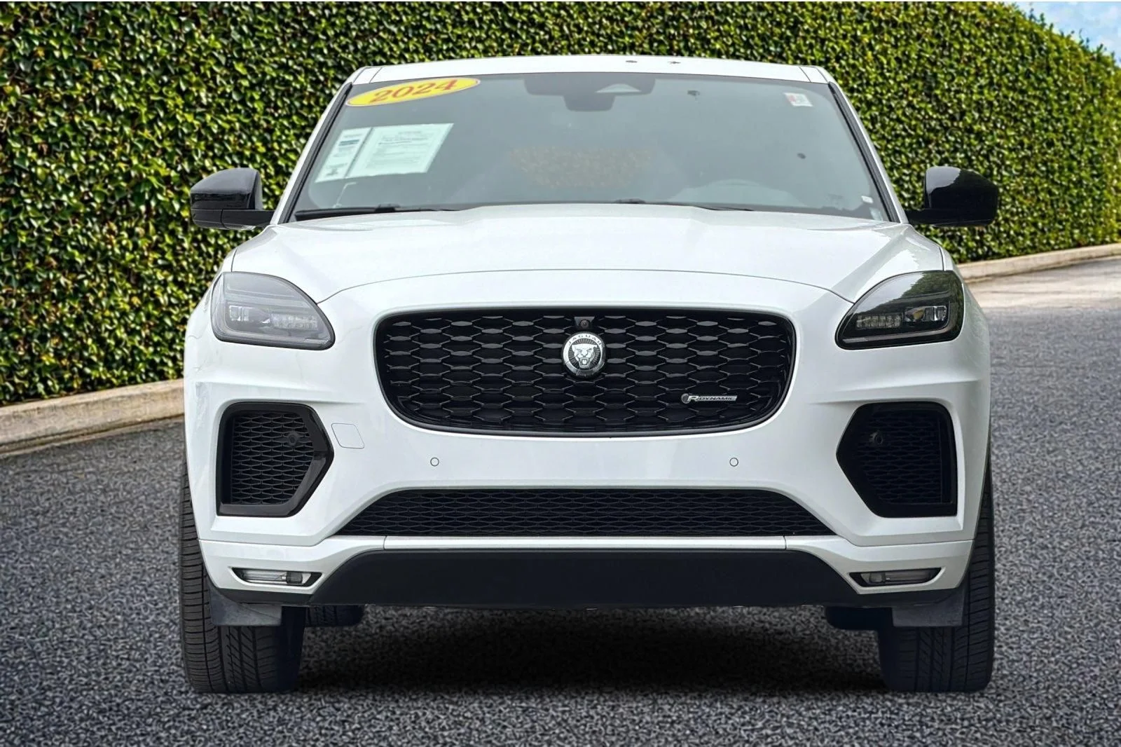 Used 2024 White Jaguar P250 image 9
