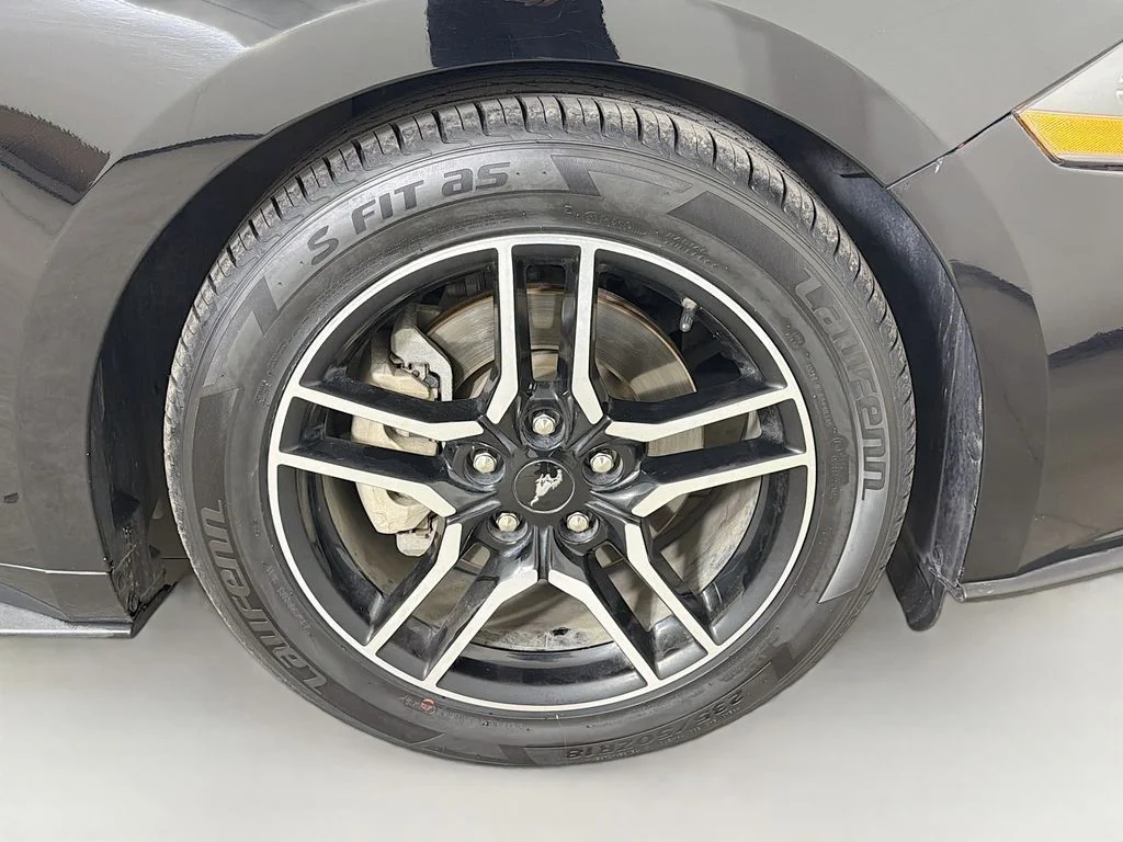 Used 2019 Black Ford EcoBoost Premium image 26