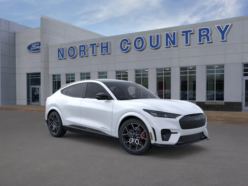 2025 Ford Mustang Mach-E GT - Photo 32