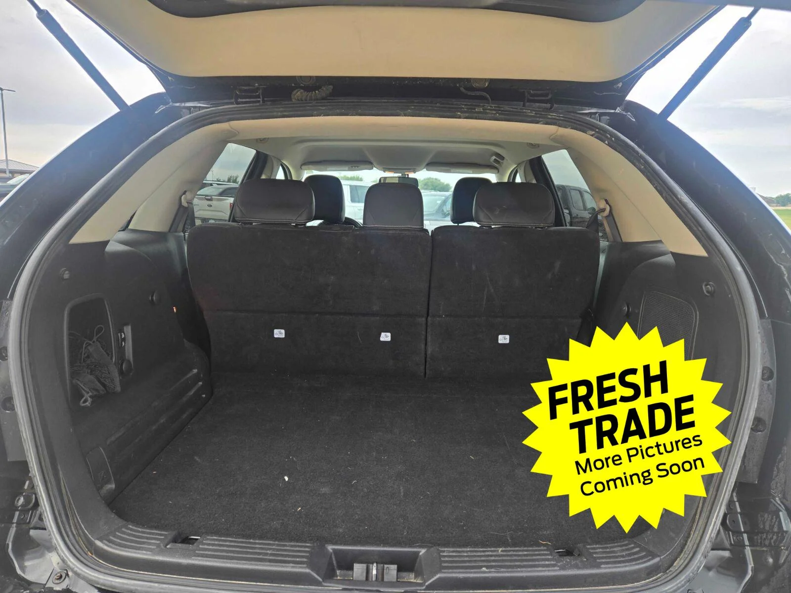 Used 2010  Ford Limited image 7