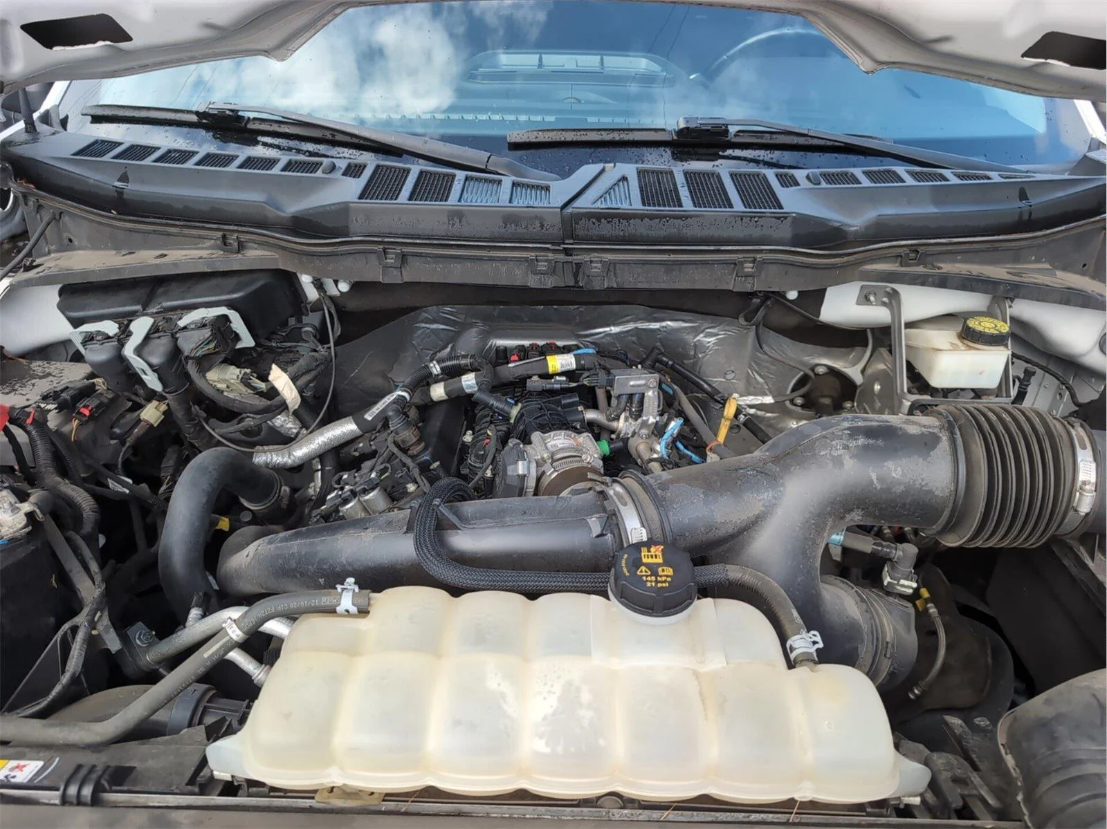 Used 2021 Oxford White Ford XLT image 12