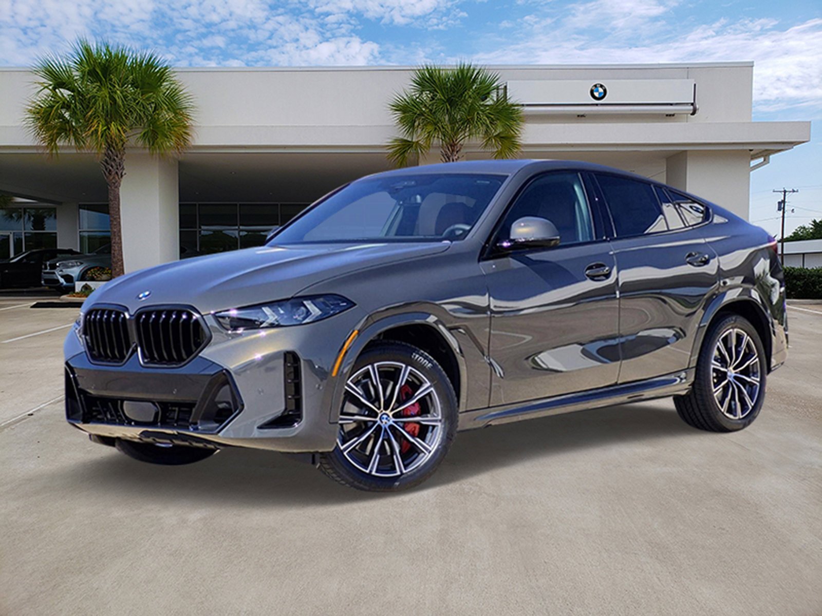 2026 BMW X6