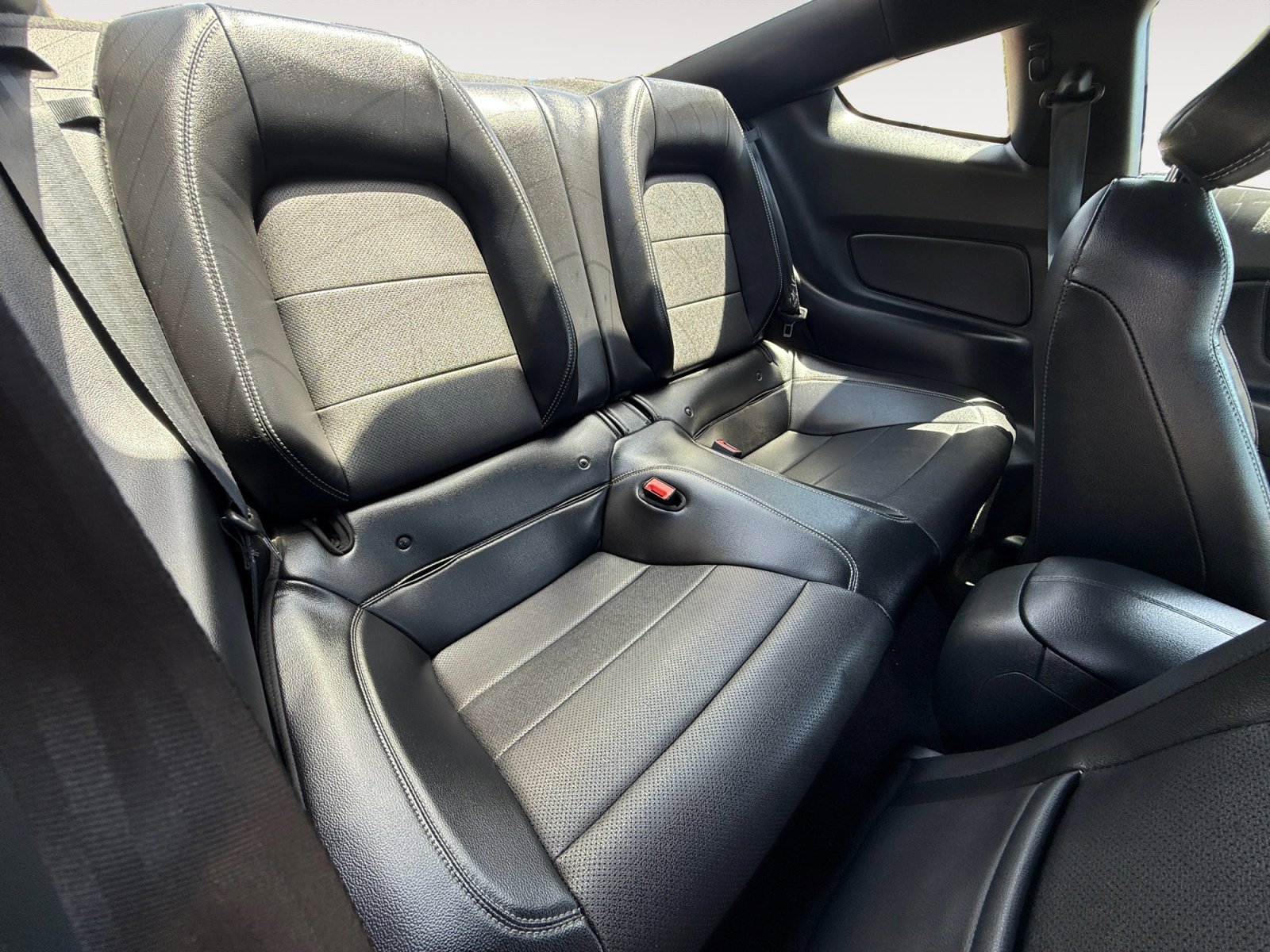 Used 2020 Race Red Ford EcoBoost Premium image 18