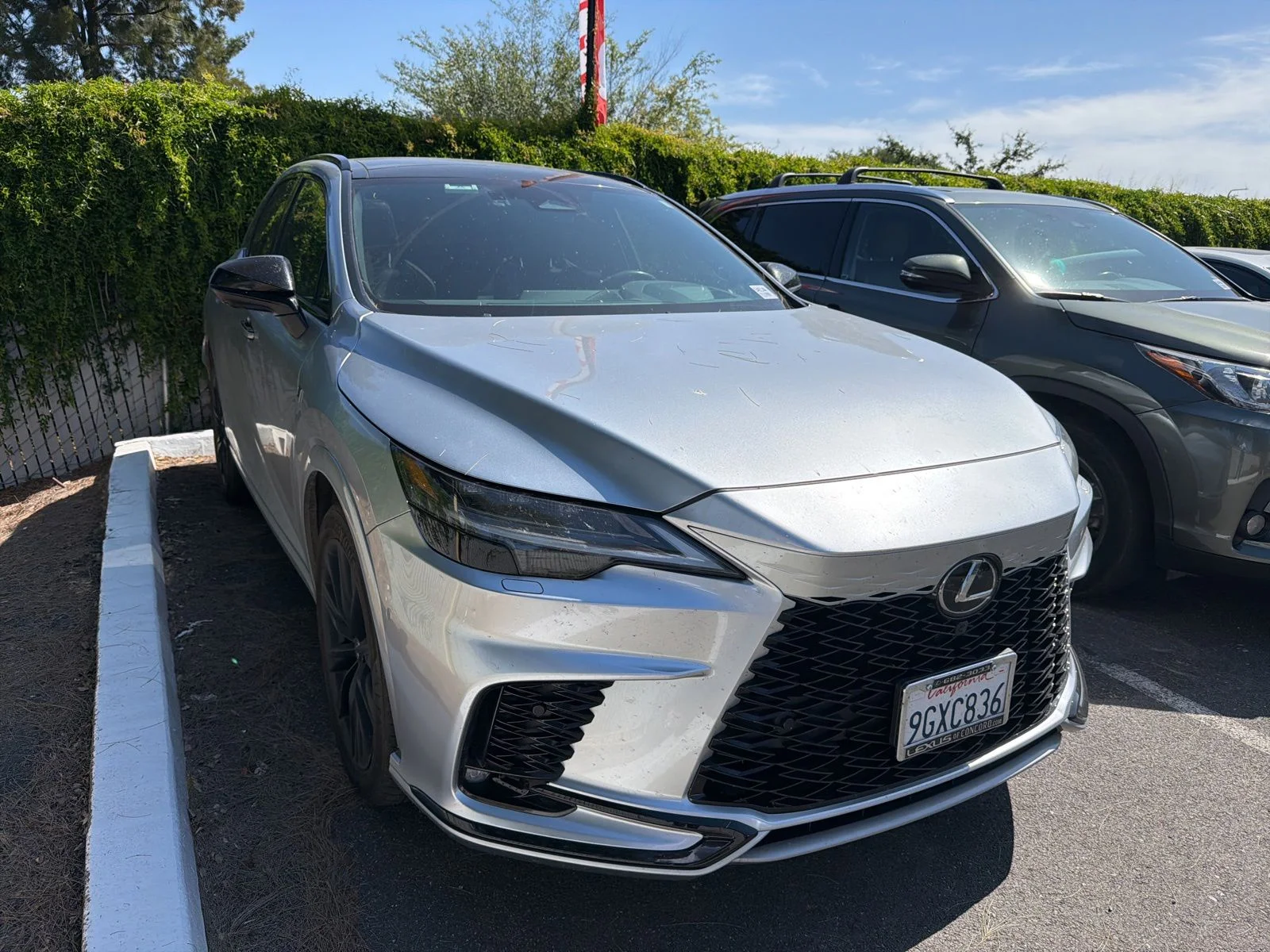 2023 Lexus RX 350h 500h F SPORT AWD's photo