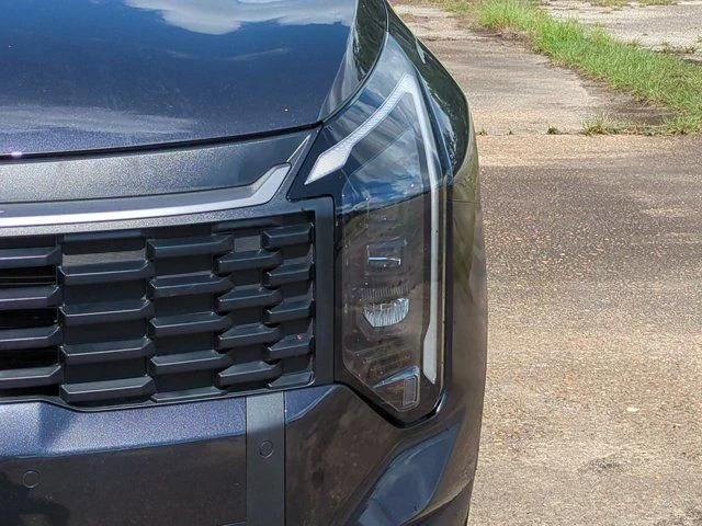 New 2026 Panthera Metal Kia LX image 10