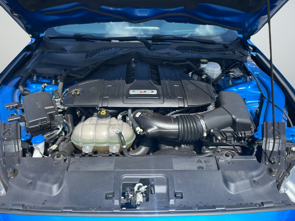 Used 2021 Blue Ford GT image 39
