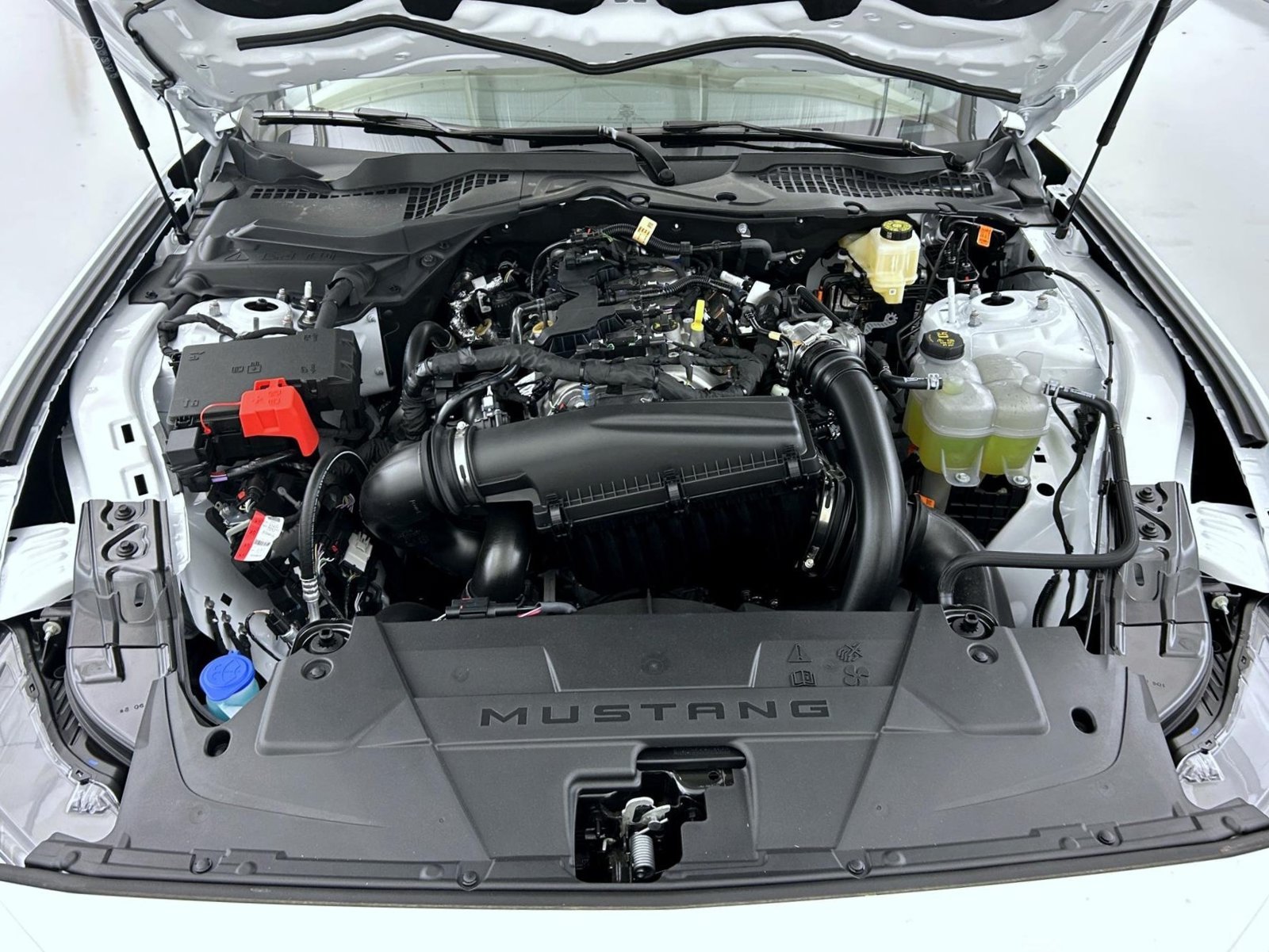 New 2026 Oxford White Ford EcoBoost image 22
