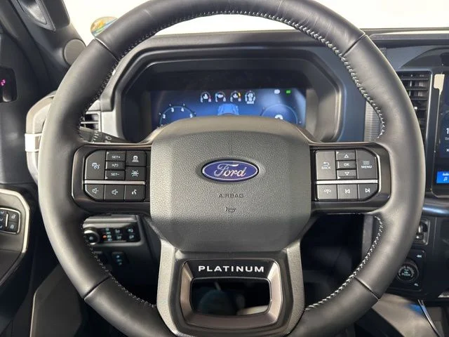 New 2026 White Ford Platinum image 19