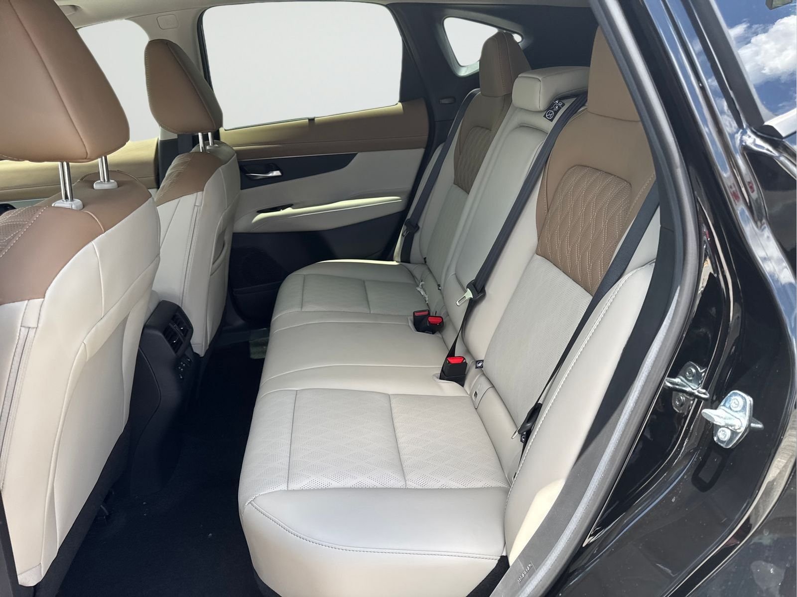 New 2026 Black Nissan Platinum image 36