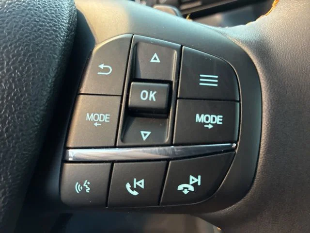 New 2025 Shadow Black Ford Tremor® image 39