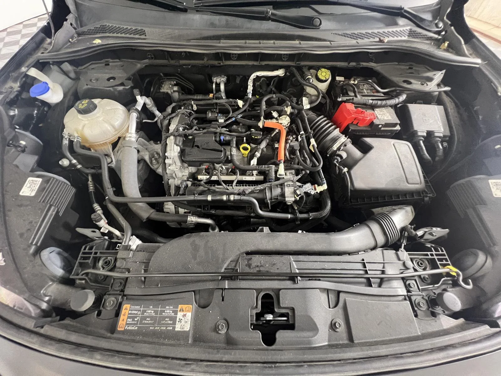 Used 2022 Agate Black Ford SE image 22