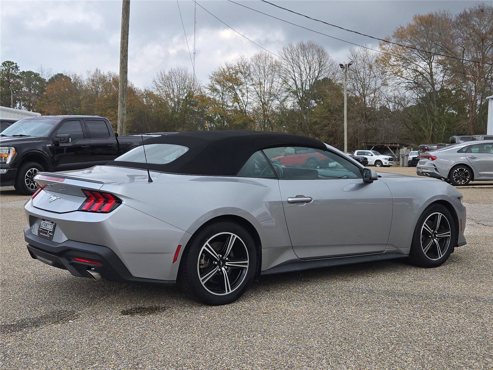 2024 Ford Mustang EcoBoost - Photo 6