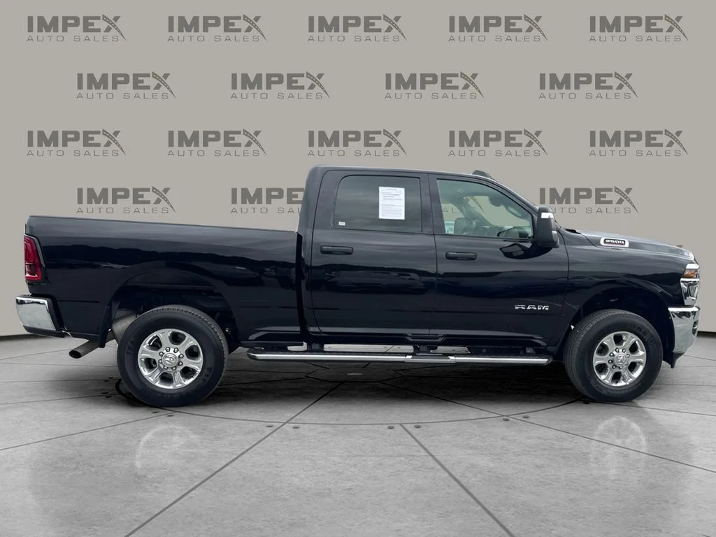 Used 2026 Black Ram Big Horn image 6
