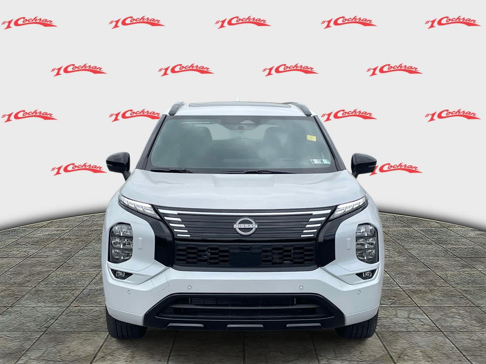 New 2026 Alpine Frost Nissan Platinum image 8