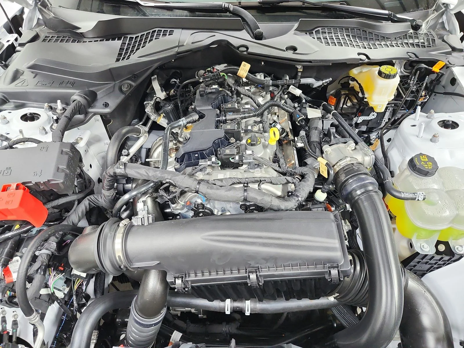 New 2026 White Ford EcoBoost image 18