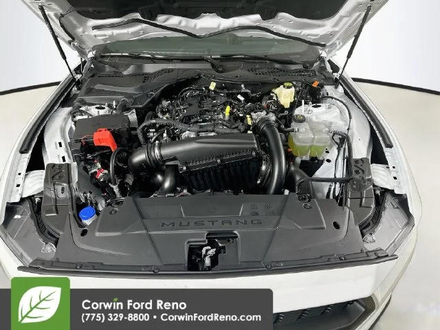 New 2026 Oxford White Ford EcoBoost image 30