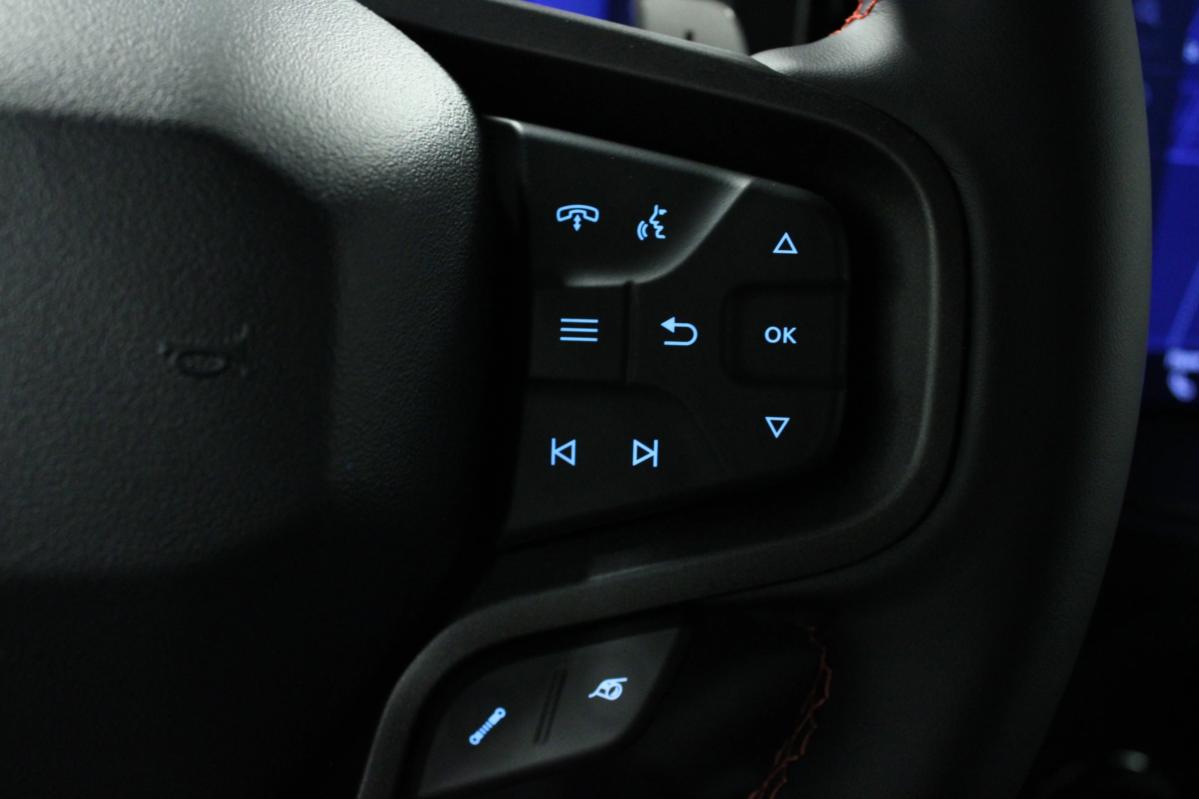 New 2026 Shadow Black Ford Raptor® image 21