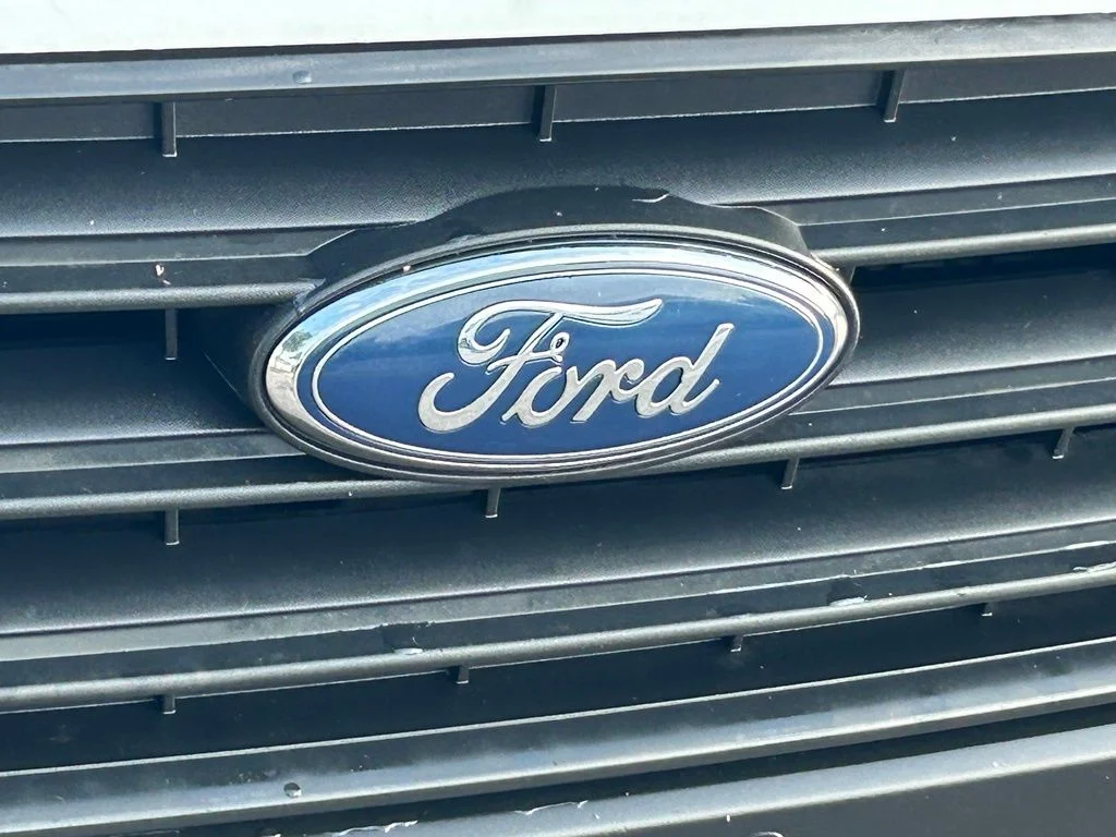 Used 2019 Frozen White Ford XL image 17