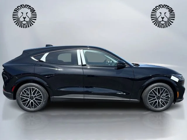 New 2026 Shadow Black Ford Premium image 4
