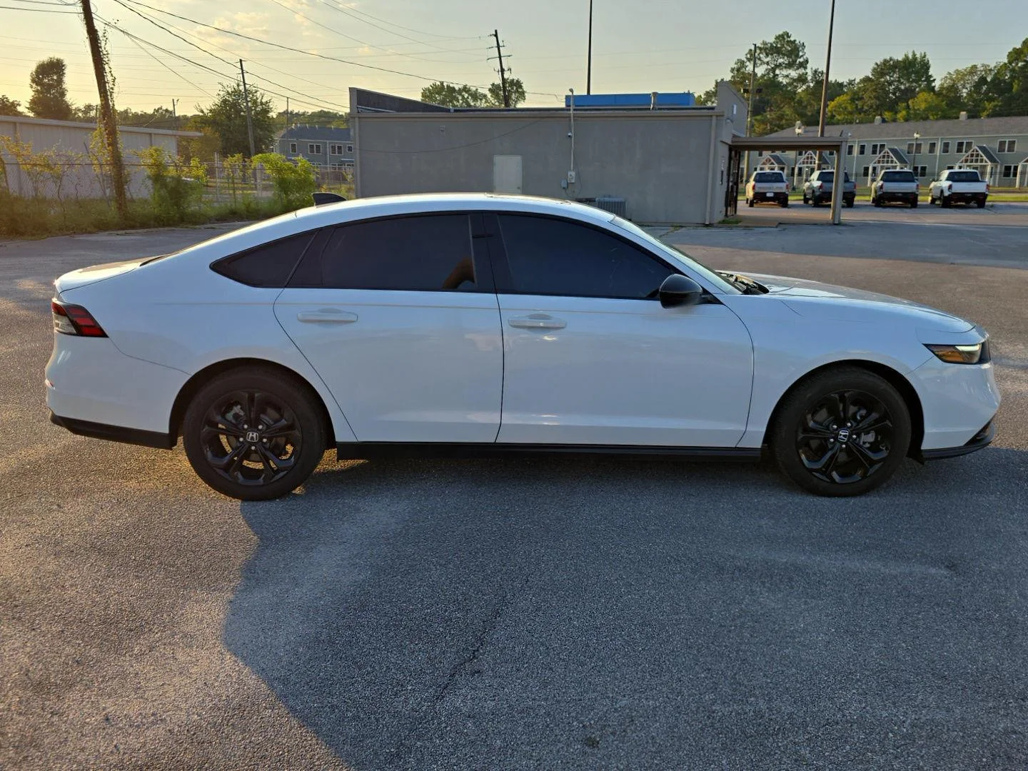 Used 2025 Platinum White Pearl Honda SE image 2