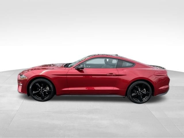 Used 2022 Red Ford EcoBoost Premium image 3