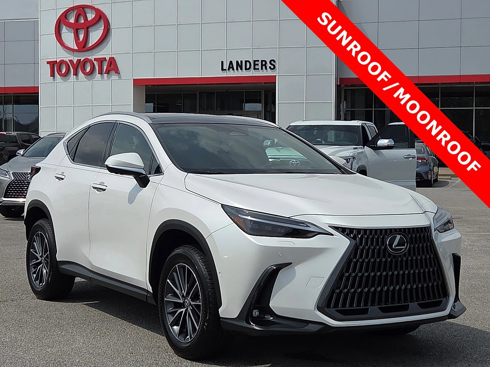 2025 Lexus NX 350h 350h Luxury AWD's photo