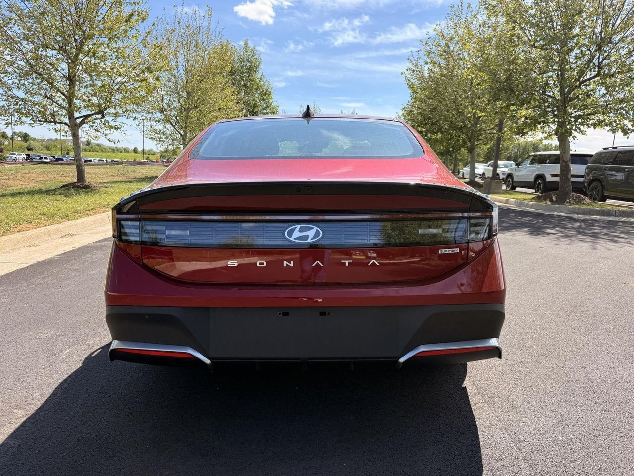 New 2026 Ultimate Red Hyundai Blue image 4