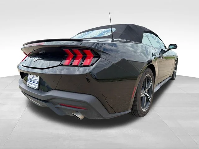 Used 2024 Black Ford EcoBoost Premium image 7