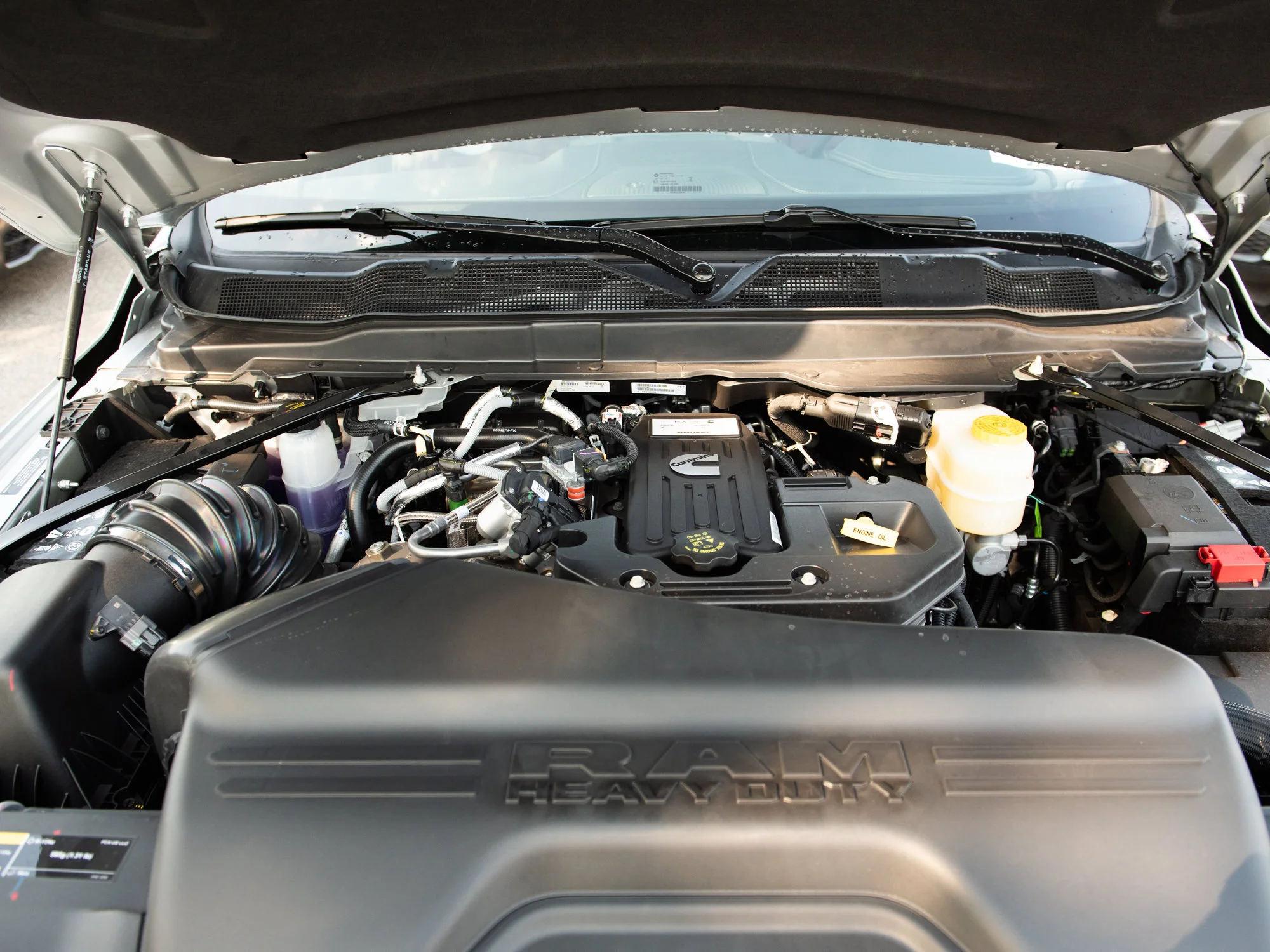 New 2026 Silver RAM Limited* image 11